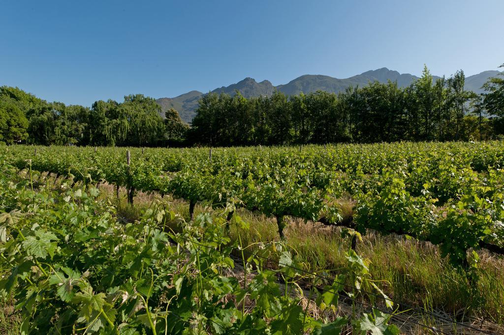 La Galiniere Guest Cottages Franschhoek Zewnętrze zdjęcie